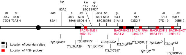 Figure 1.—