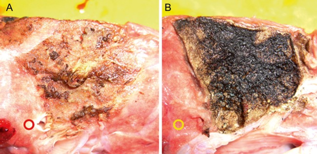 Figure 5: