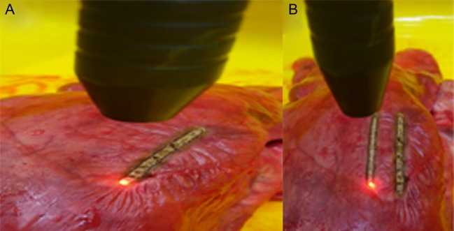 Figure 1: