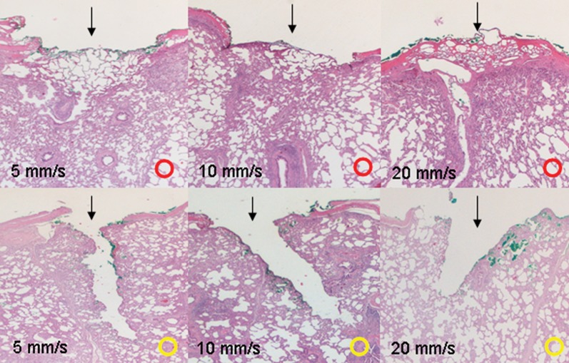 Figure 2: