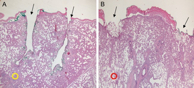 Figure 3: