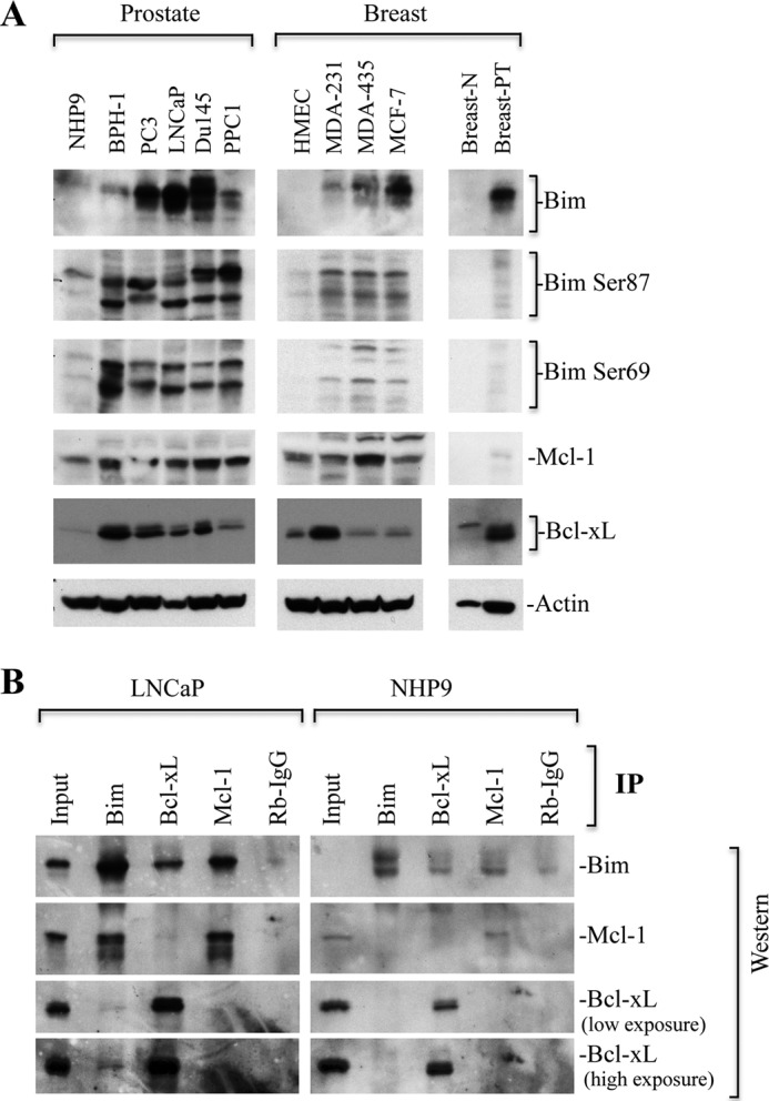 FIGURE 9.