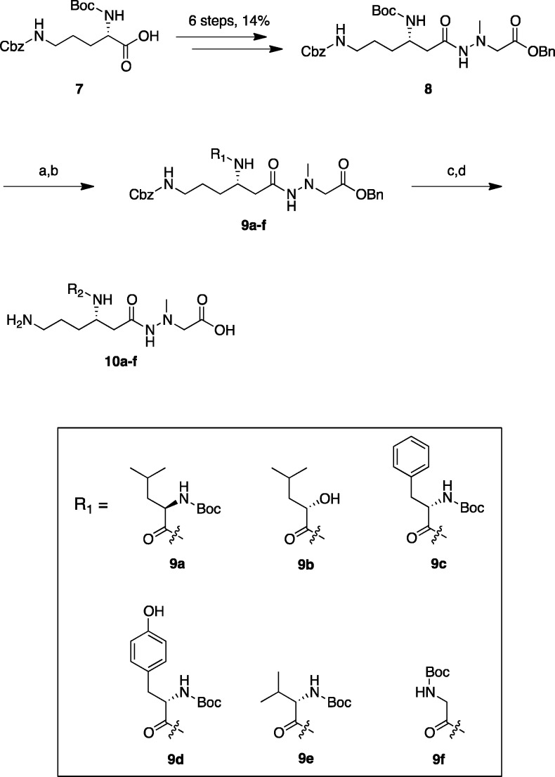 Scheme 1