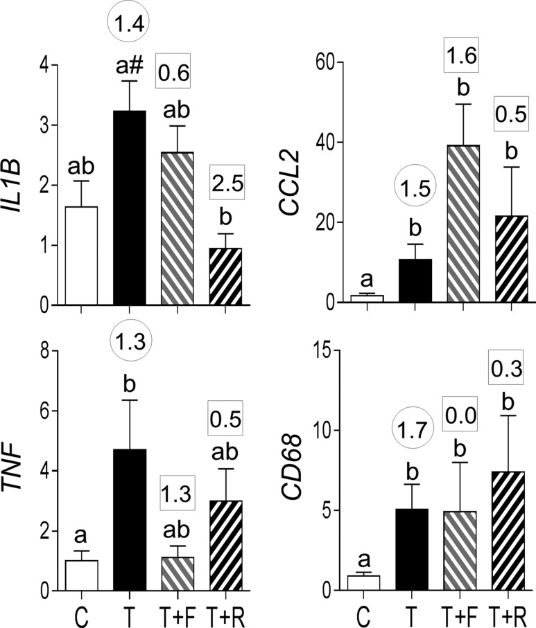 Figure 9.