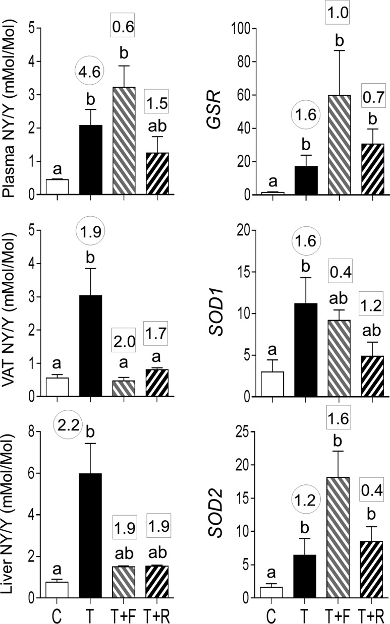 Figure 10.