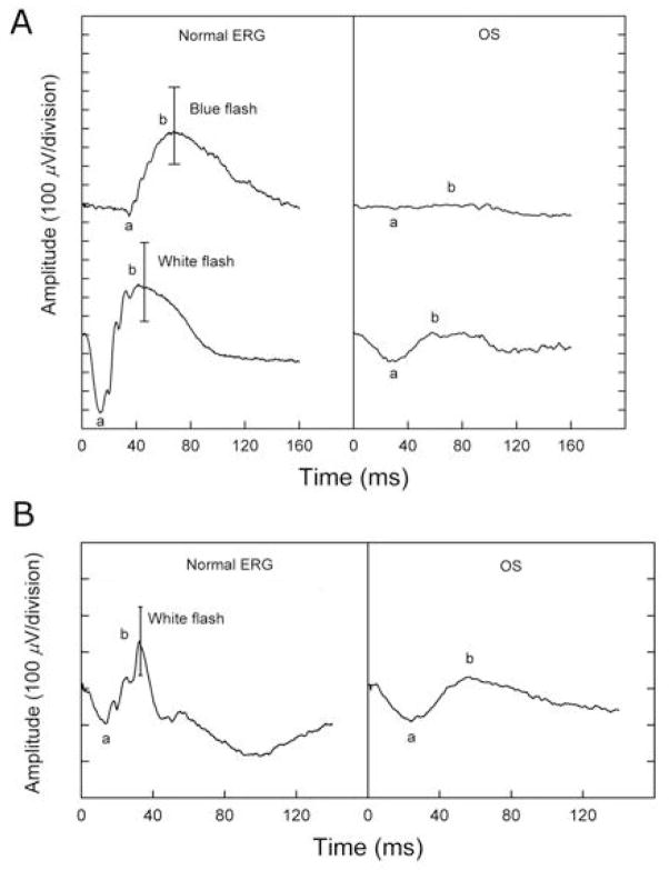 Fig. 2