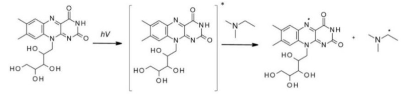 graphic file with name polymers-12-01073-i006.jpg