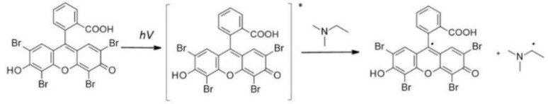 graphic file with name polymers-12-01073-i008.jpg