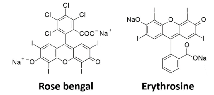 Figure 12