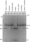 F<sc>igure</sc> 5.—