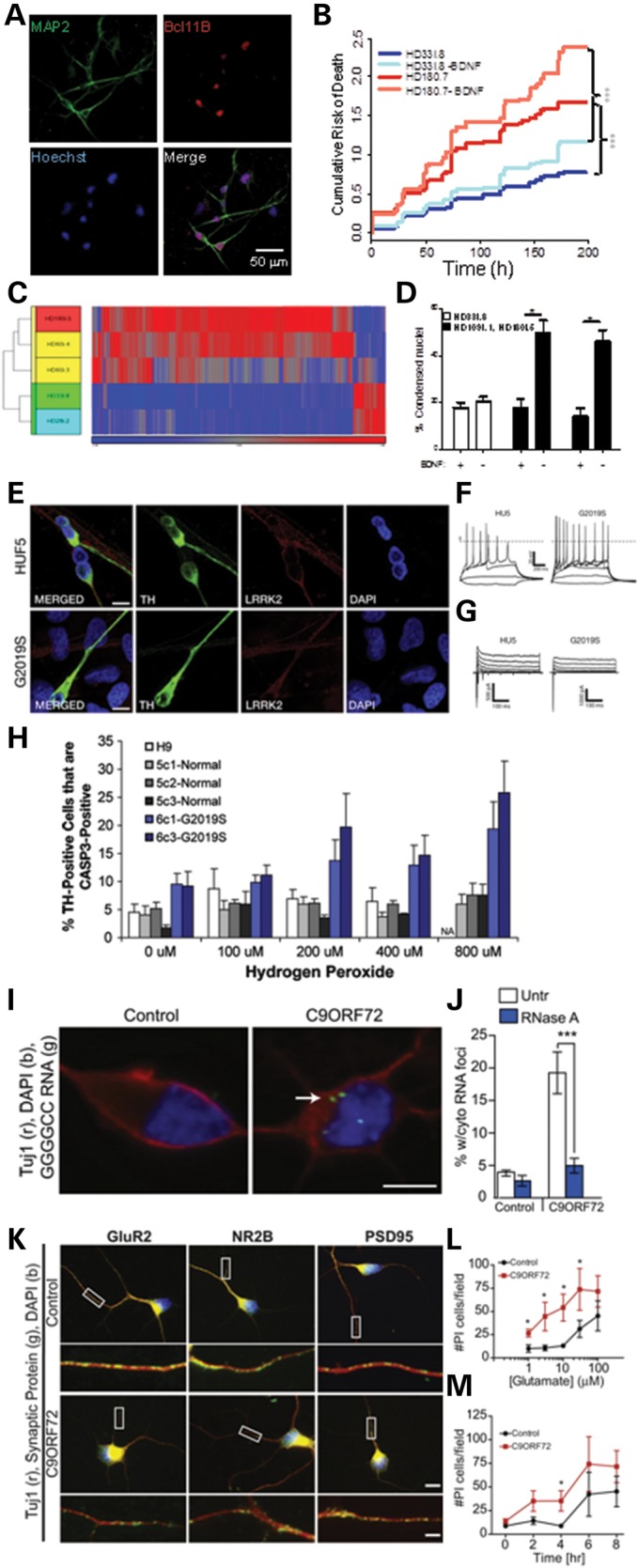 Figure 2.