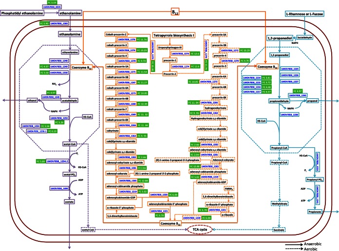 FIG 2