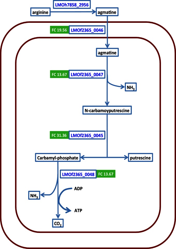 FIG 4