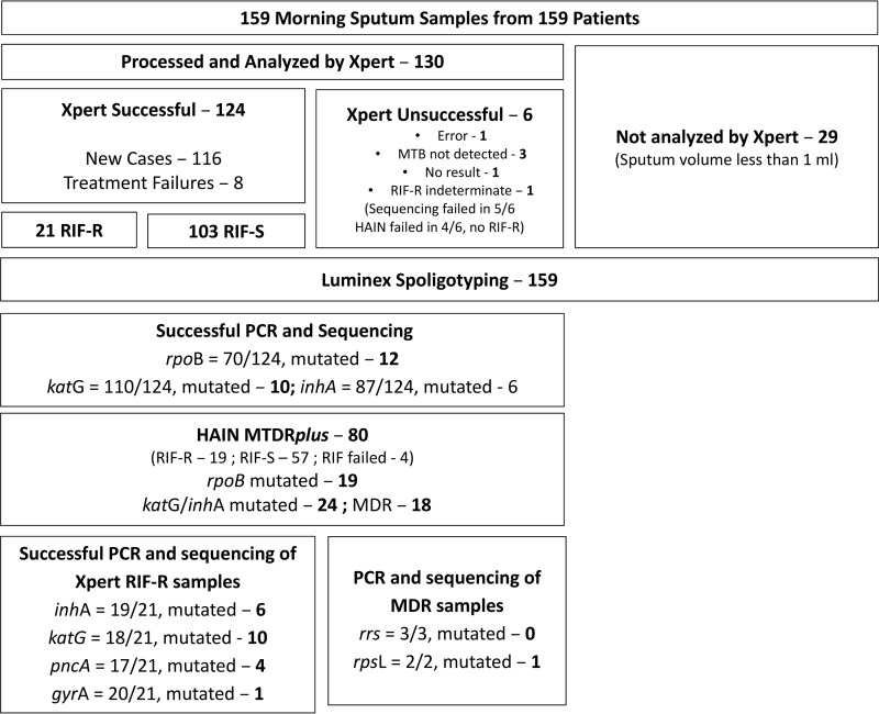 FIG 1