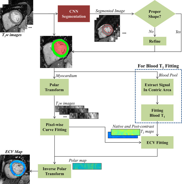 Figure 1b: