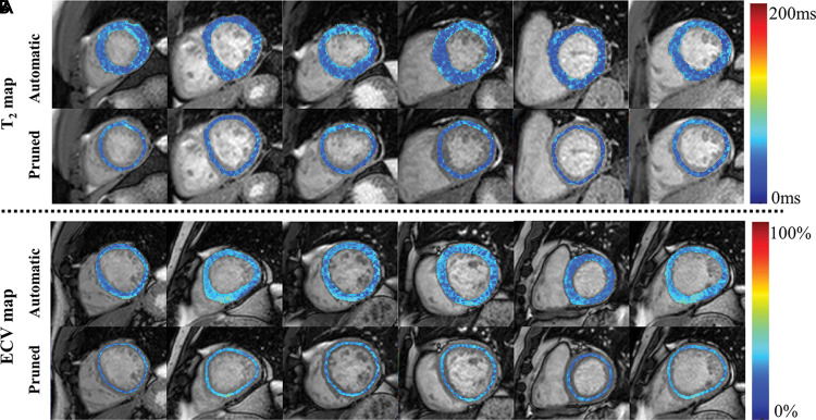 Figure 3: