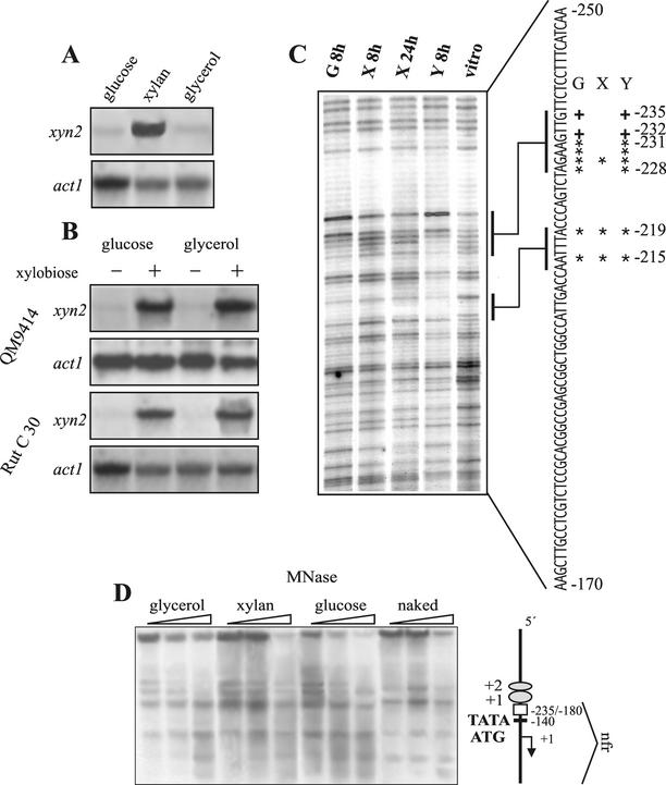 FIG. 1.