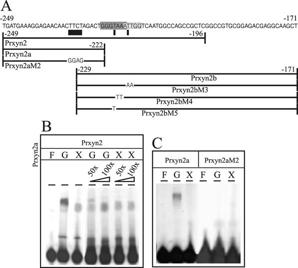 FIG. 2.