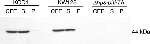 FIG. 3.