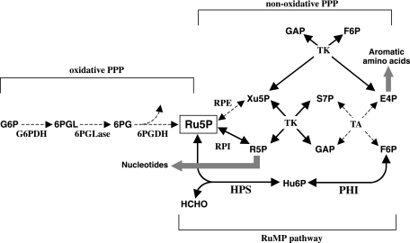 FIG. 1.