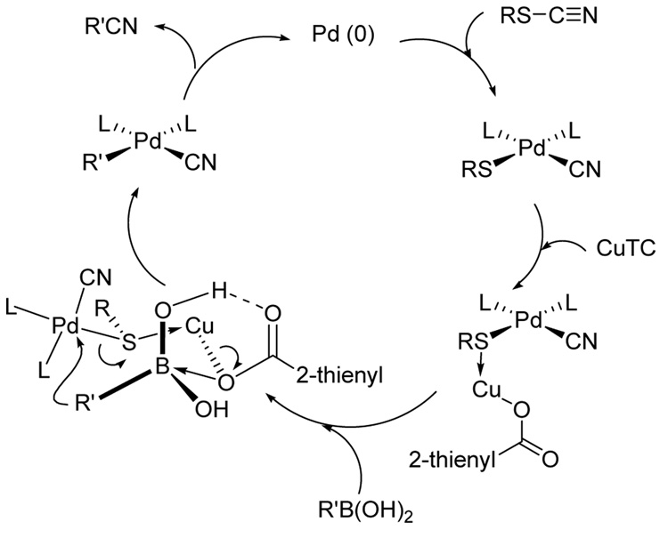 Scheme 2