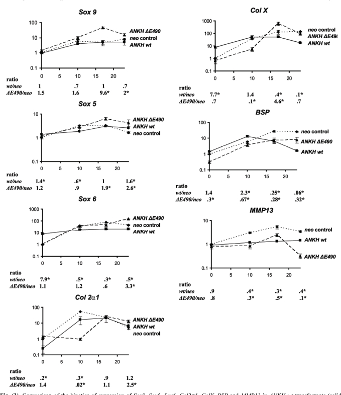 Fig. (3)