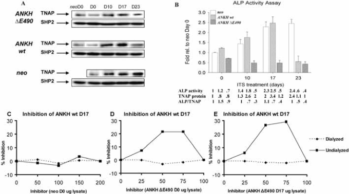 Fig. (4)