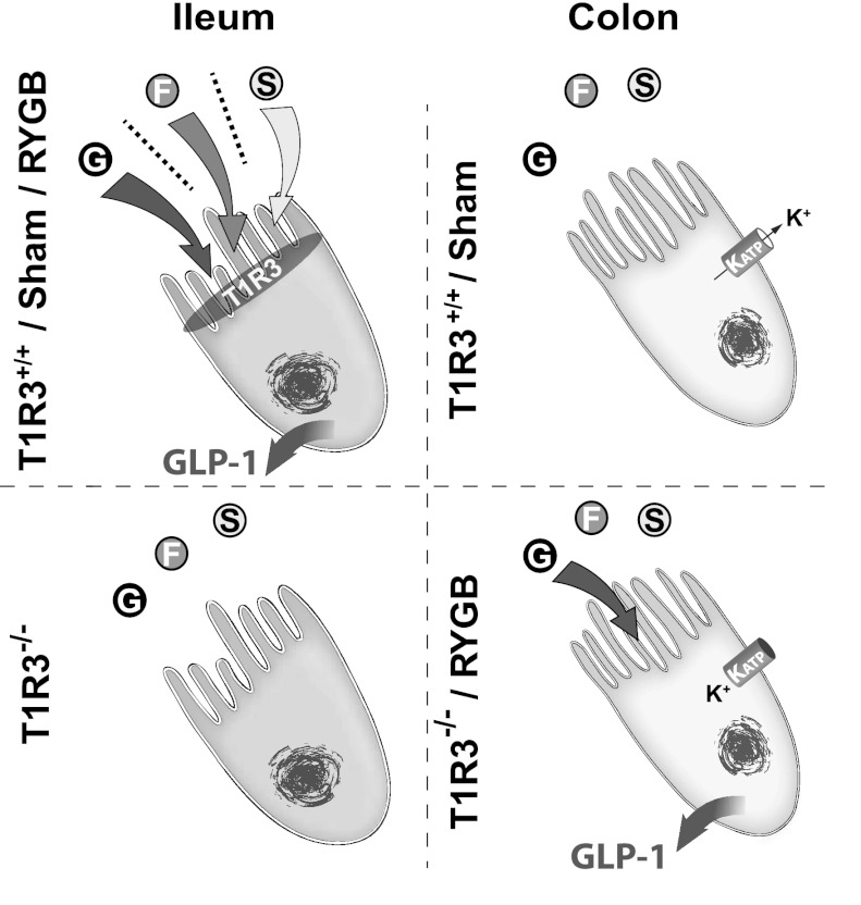 Fig. 8.