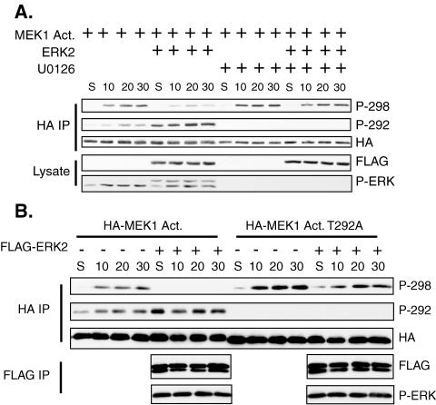 FIG. 8.