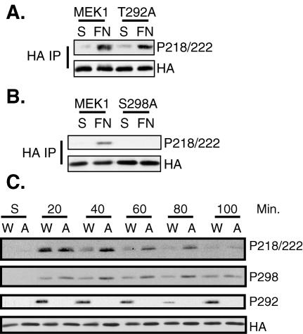 FIG. 9.