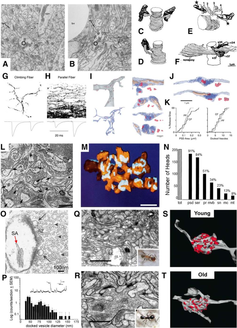 Figure 13.