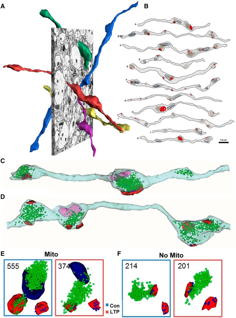 Figure 11.