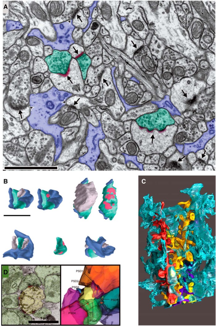 Figure 12.