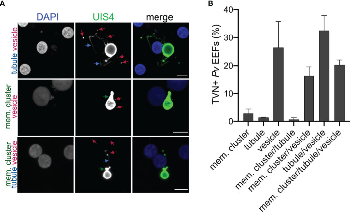 Figure 2