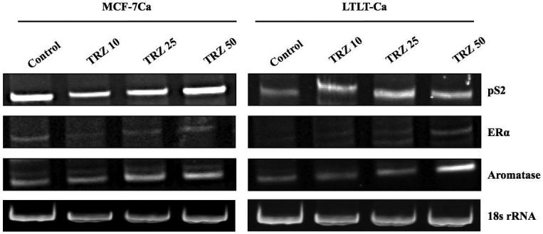 Figure 2D