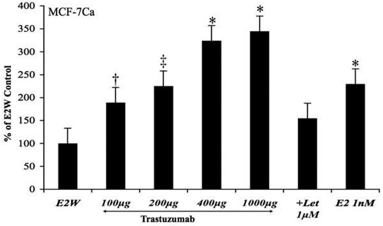 Figure 4C