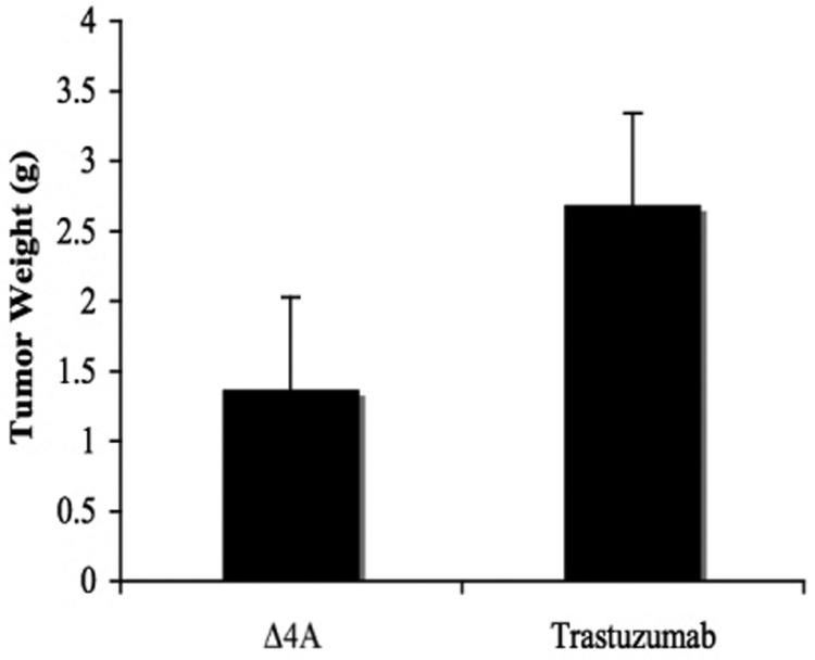 Figure 5B