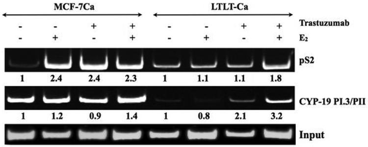 Figure 3B