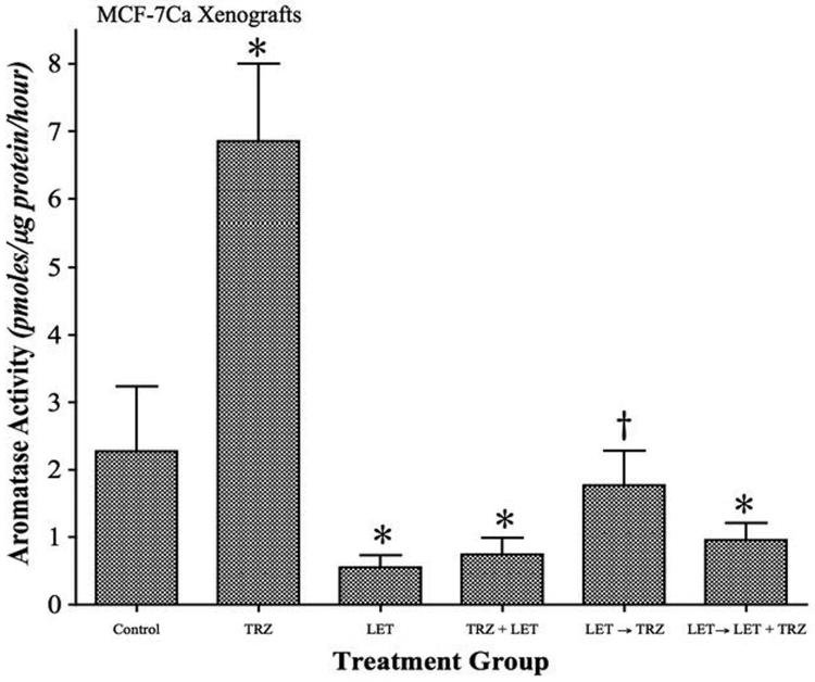 Figure 6A