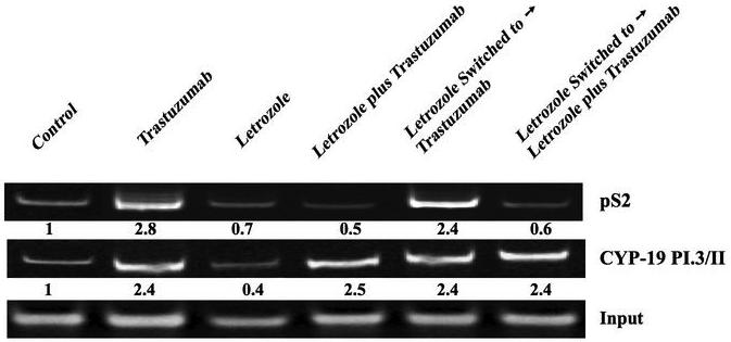 Figure 6C