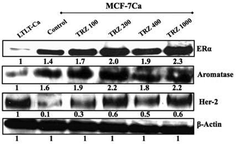 Figure 4A