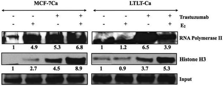 Figure 3A