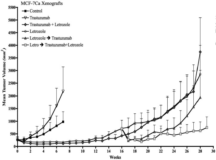 Figure 5A