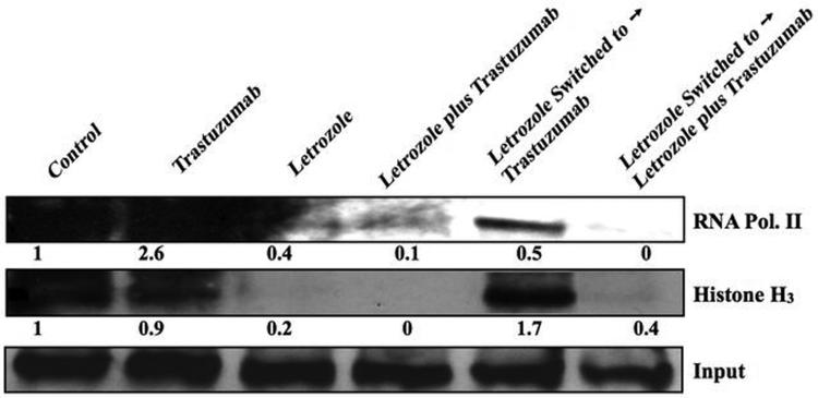 Figure 6B