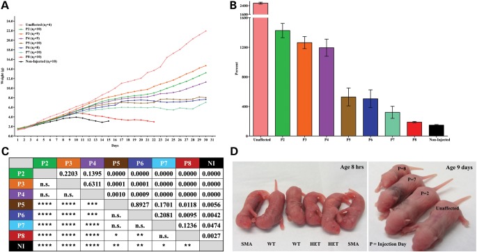 Figure 2.