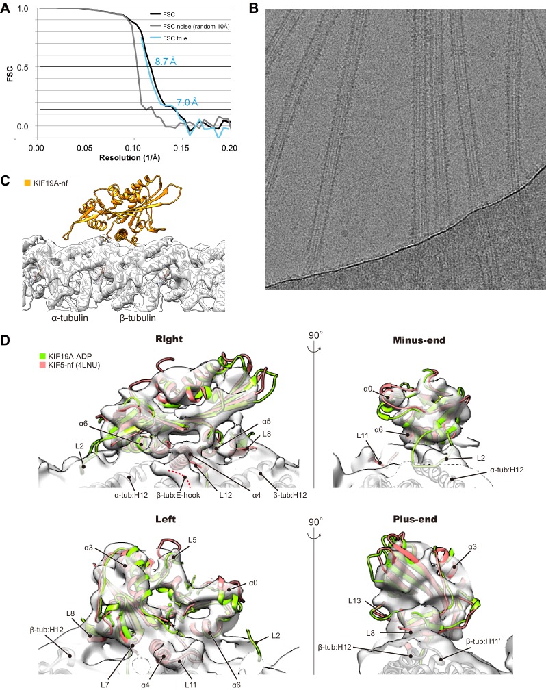 Figure 7—figure supplement 1.