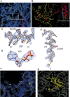 Figure 2—figure supplement 1.