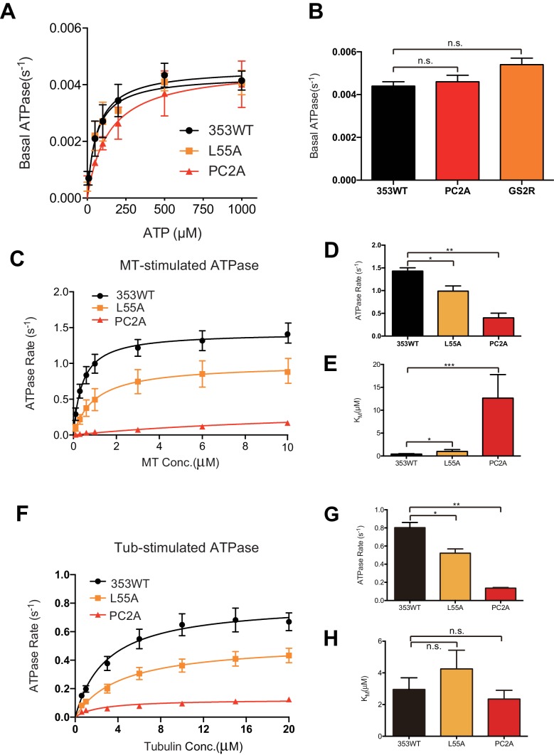 Figure 4—figure supplement 1.