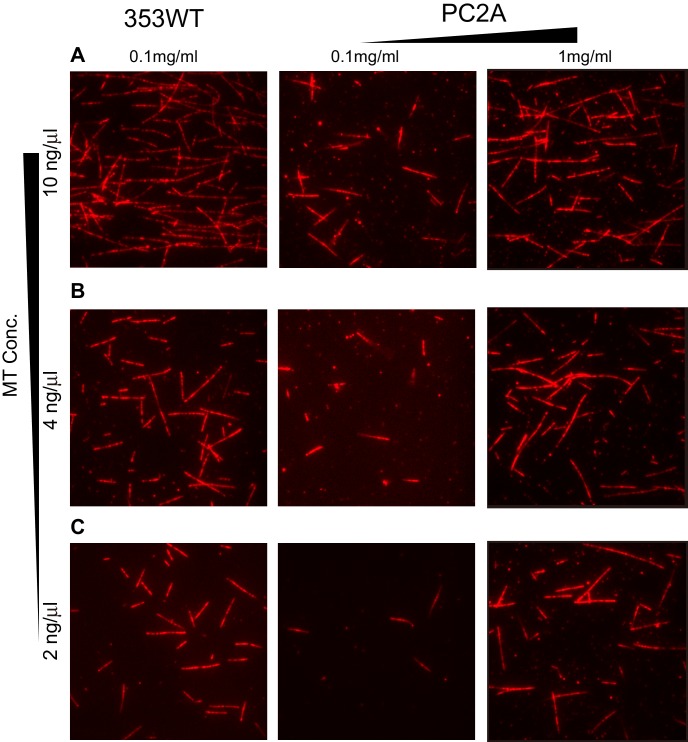 Figure 4—figure supplement 2.