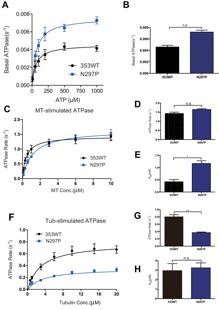 Figure 6—figure supplement 2.